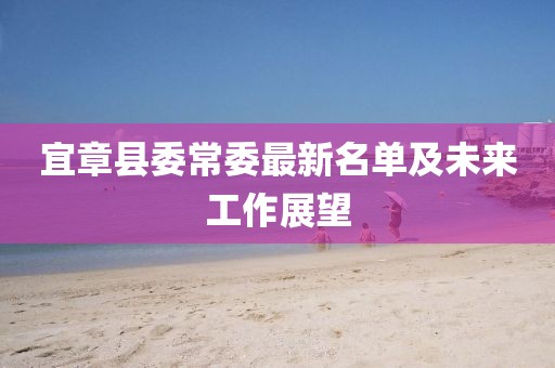 宜章縣委常委最新名單及未來工作展望
