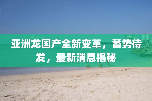 亞洲龍國產(chǎn)全新變革，蓄勢待發(fā)，最新消息揭秘