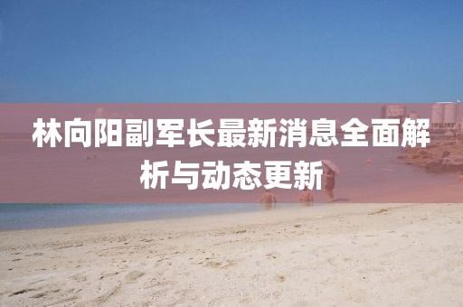 林向陽副軍長最新消息全面解析與動態(tài)更新