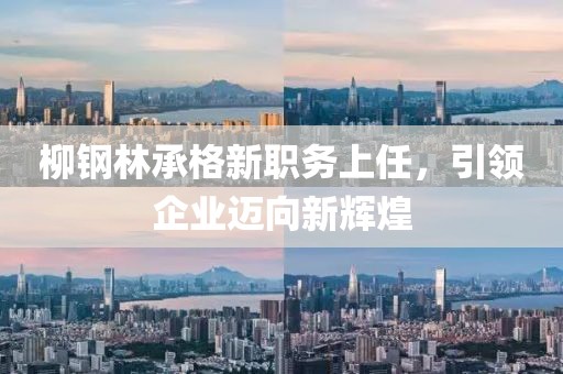 柳鋼林承格新職務(wù)上任，引領(lǐng)企業(yè)邁向新輝煌