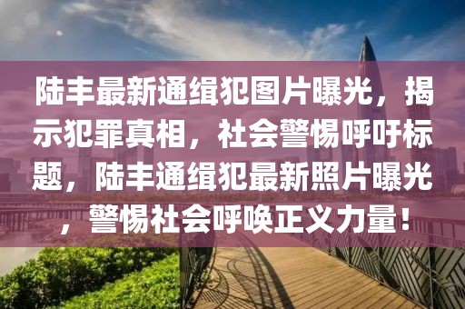 陸豐最新通緝犯圖片曝光，揭示犯罪真相，社會(huì)警惕呼吁標(biāo)題，陸豐通緝犯最新照片曝光，警惕社會(huì)呼喚正義力量！