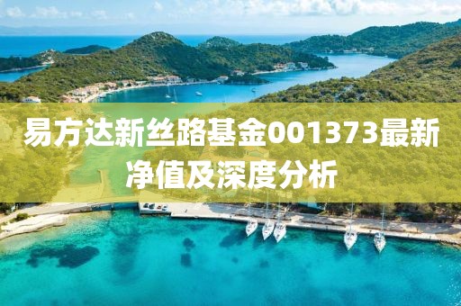 易方達新絲路基金001373最新凈值及深度分析