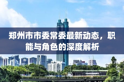 鄭州市市委常委最新動態(tài)，職能與角色的深度解析