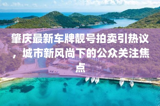 肇慶最新車牌靚號拍賣引熱議，城市新風(fēng)尚下的公眾關(guān)注焦點(diǎn)