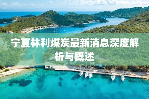 寧夏林利煤炭最新消息深度解析與概述