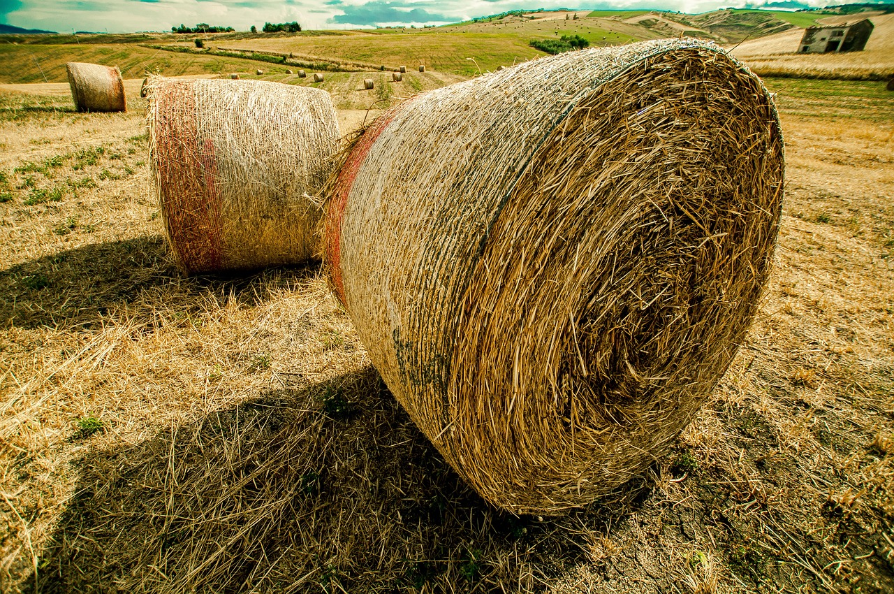 開心的時刻 第27頁