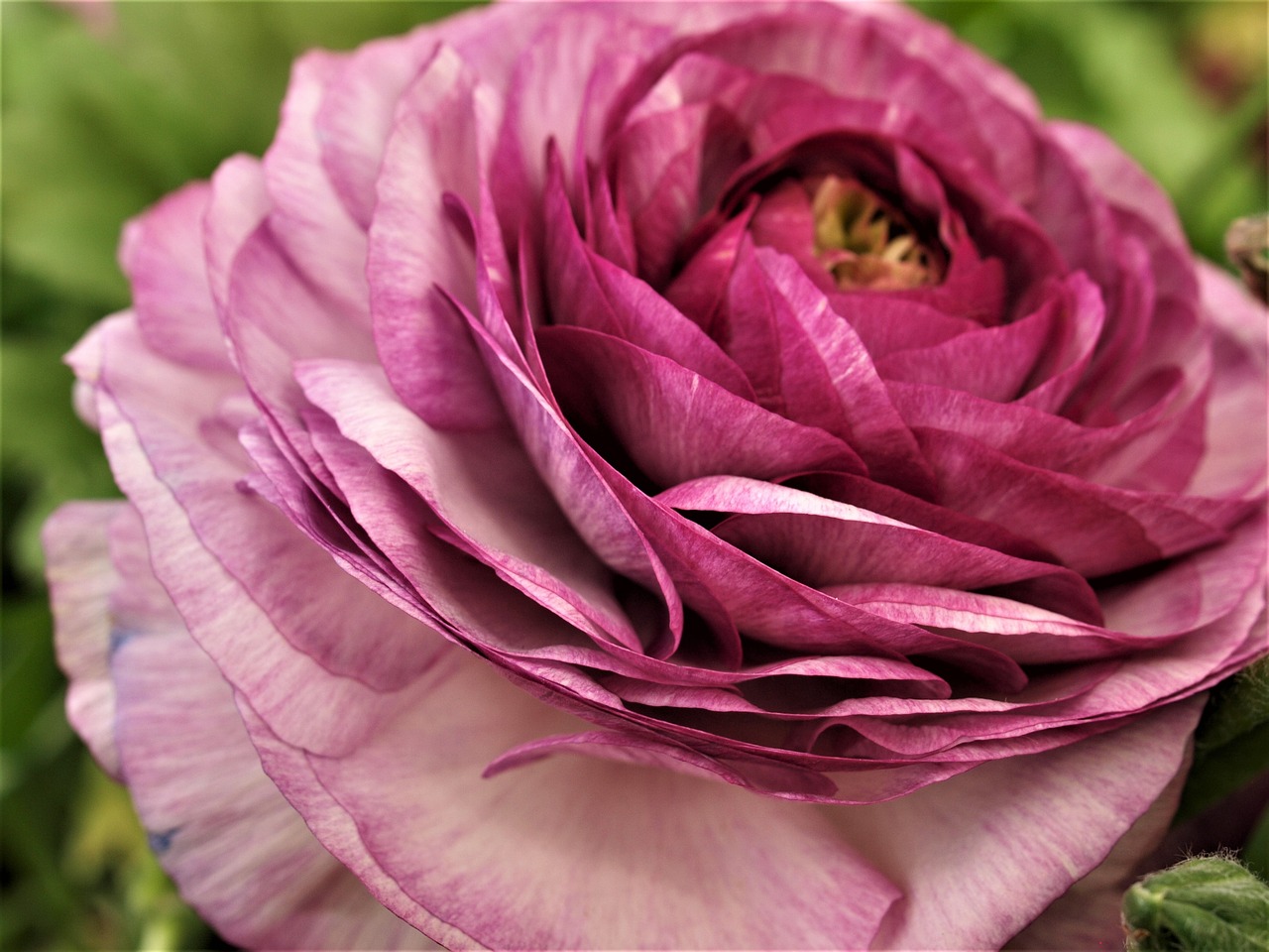 東和環(huán)保引領綠色發(fā)展，先鋒力量展現(xiàn)最新環(huán)保動態(tài)