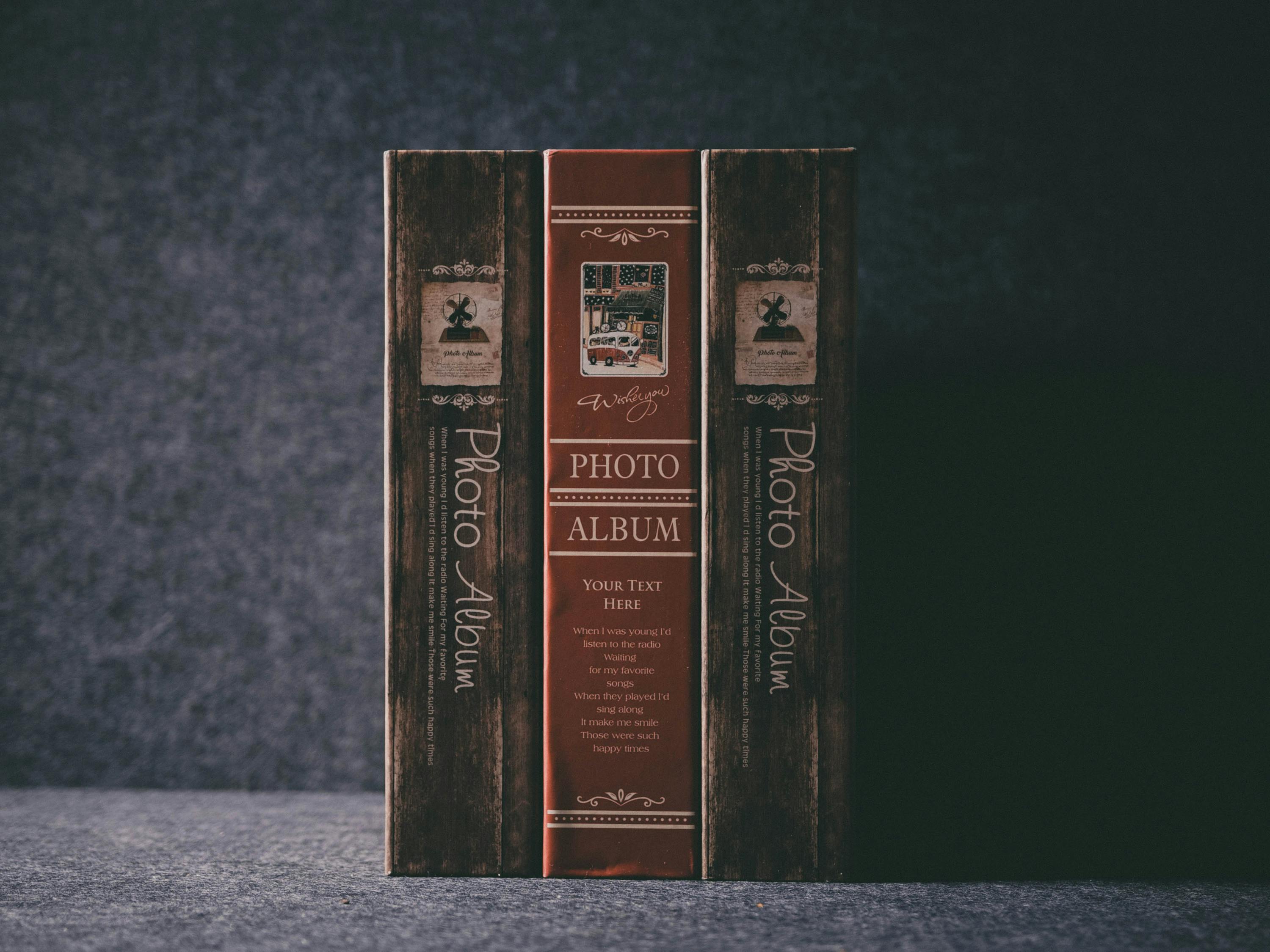 儀隴新聞網(wǎng)最新爆料解析，地區(qū)新動態(tài)與熱點話題深度探討