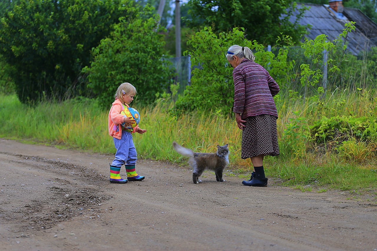 最新農(nóng)村愛情電視劇，鄉(xiāng)村生活的浪漫與真實(shí)之旅