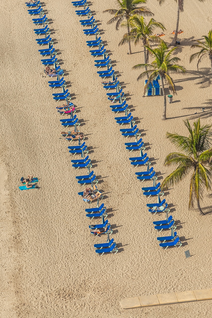 愛口袋最新版下載探索，最新體驗之旅