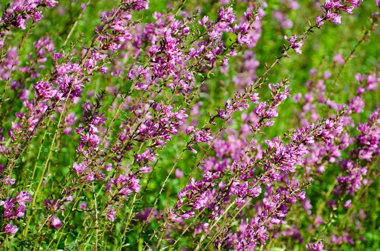 新港名澤園最新房價(jià)動態(tài)與市場趨勢深度解析