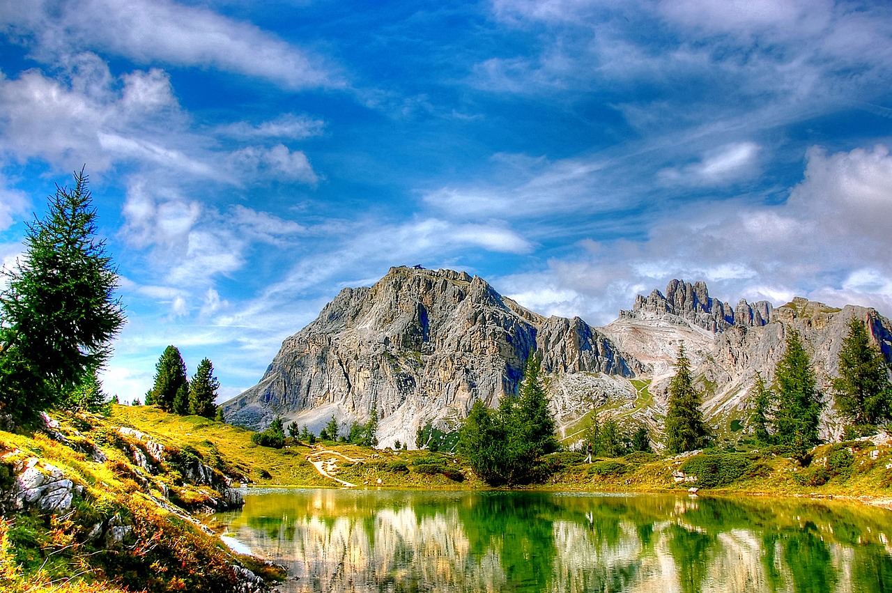 大連東北特鋼最新動(dòng)態(tài)解析，全面關(guān)注最新消息