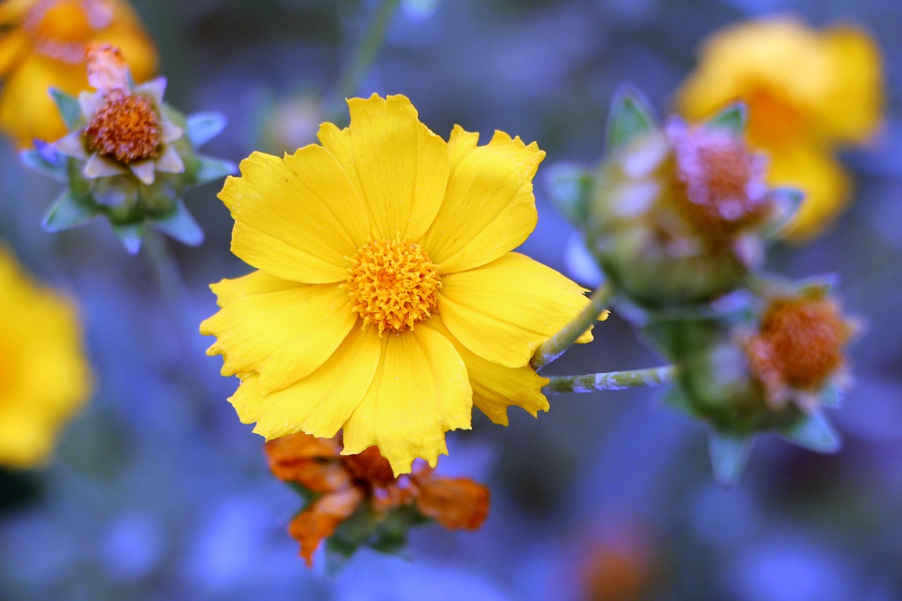 范冰冰最新動態(tài)，閃耀全球的巨星風采依舊