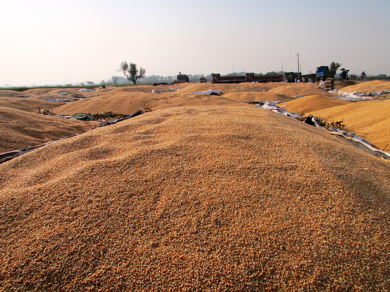 武漢公車拍賣最新動(dòng)態(tài)，公開(kāi)透明拍賣引領(lǐng)市場(chǎng)新風(fēng)向