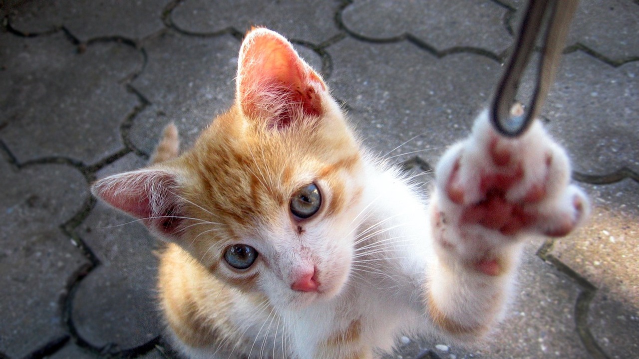 山大搬遷最新動態(tài)，邁向新征程，開啟新篇章