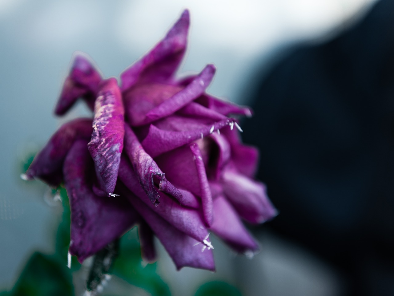 天津老年卡最新動態(tài)，關(guān)愛老年人，打造便捷生活