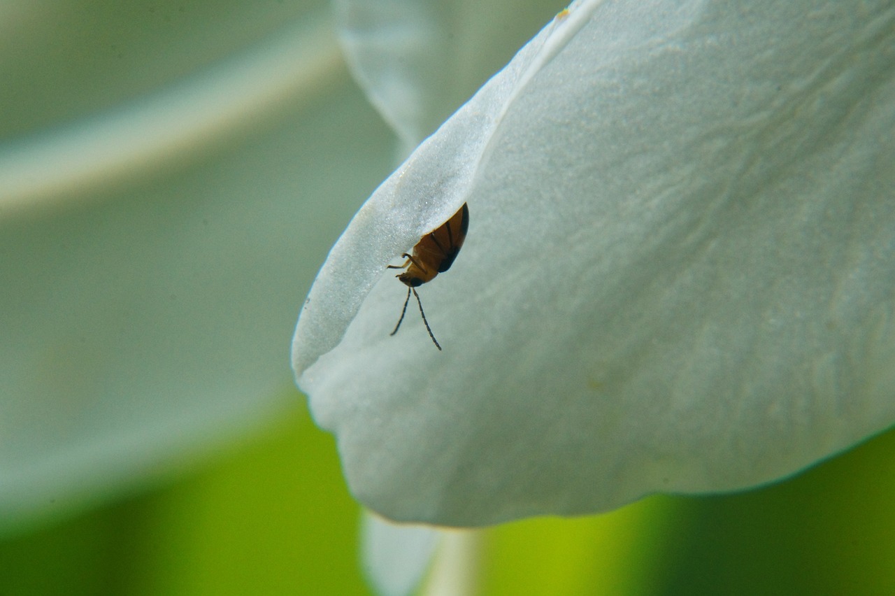 余江新聞最新消息深度報道，聚焦余江發(fā)展動態(tài) 2017年年度報告