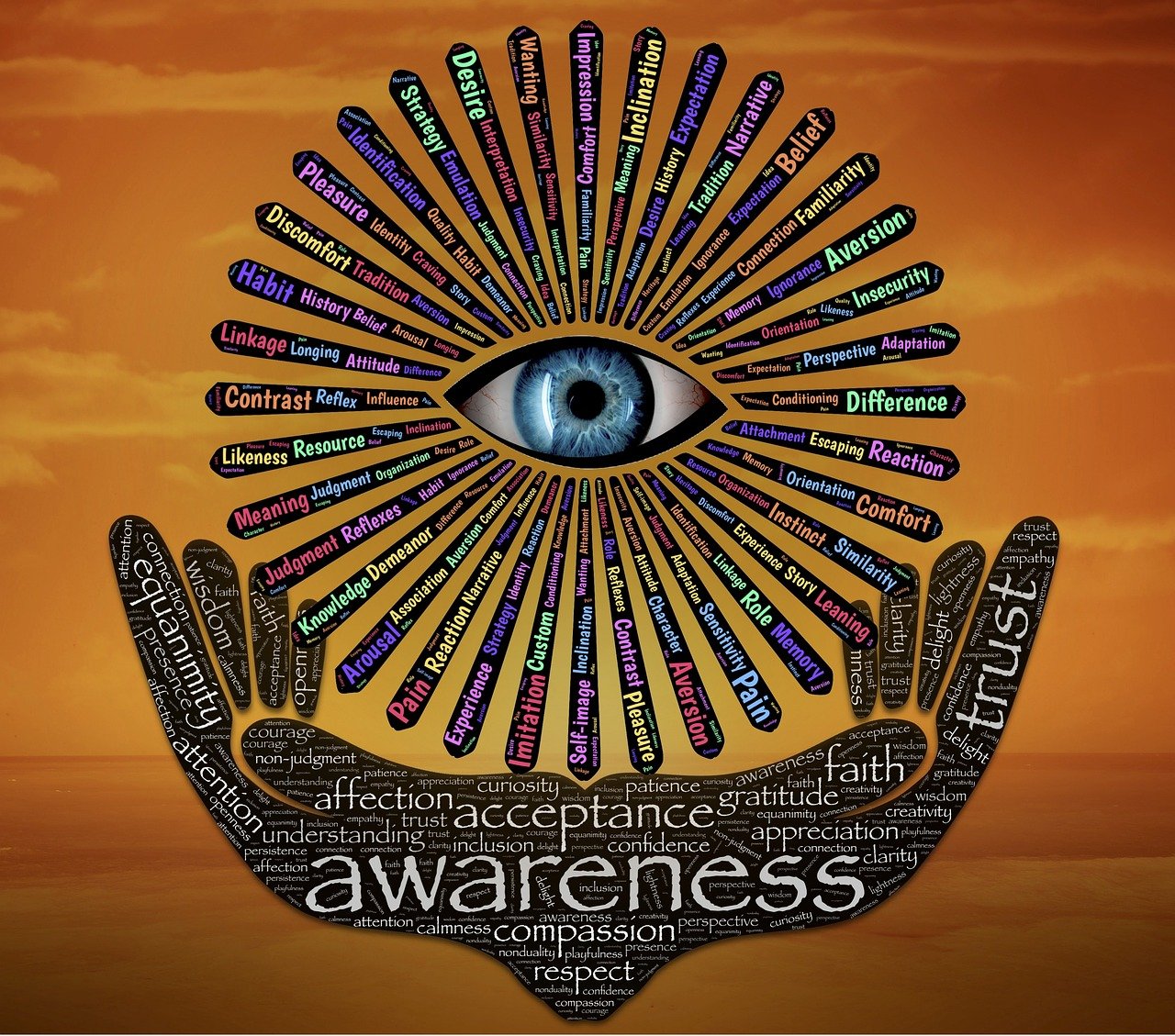 權(quán)力巔峰，官場(chǎng)探索與反思的啟示