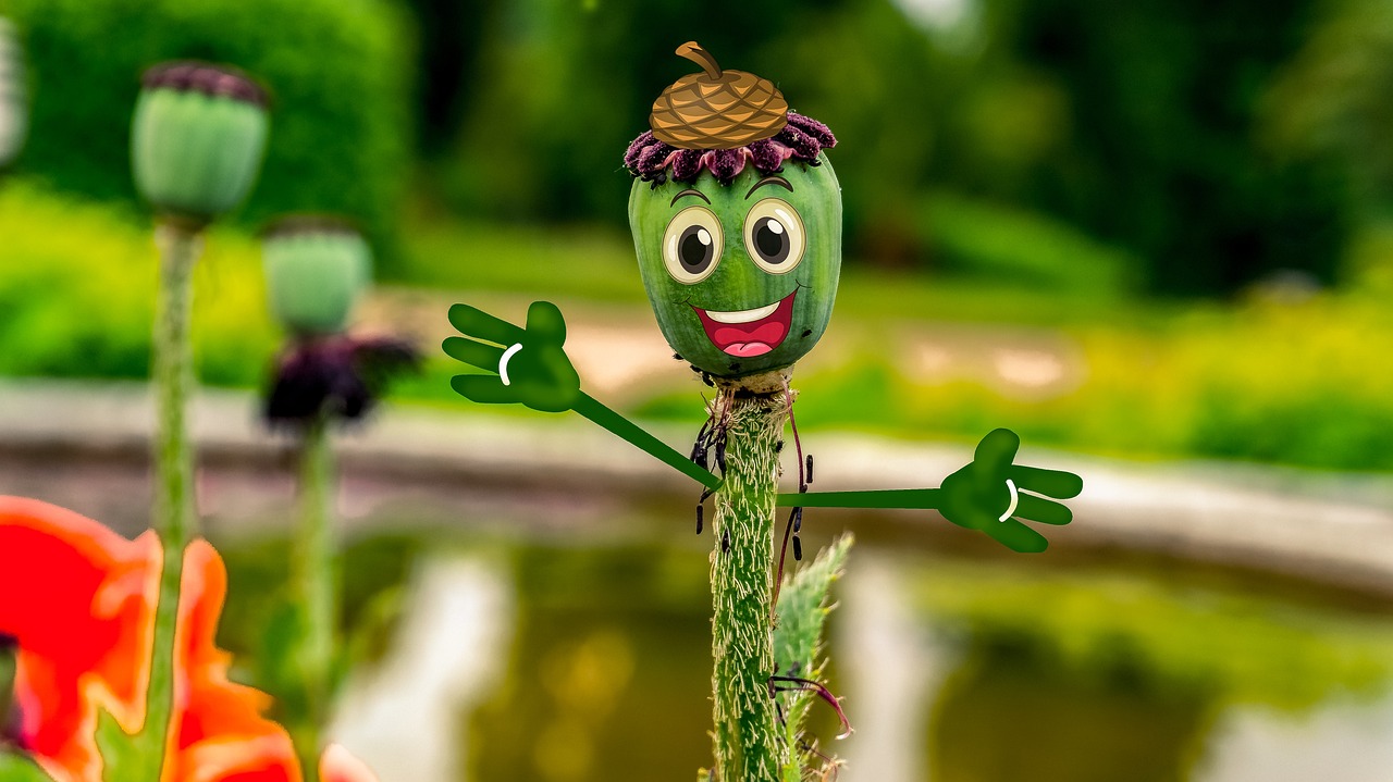 阿凡提下載免費(fèi)最新版，智慧與樂趣的完美融合體驗(yàn)