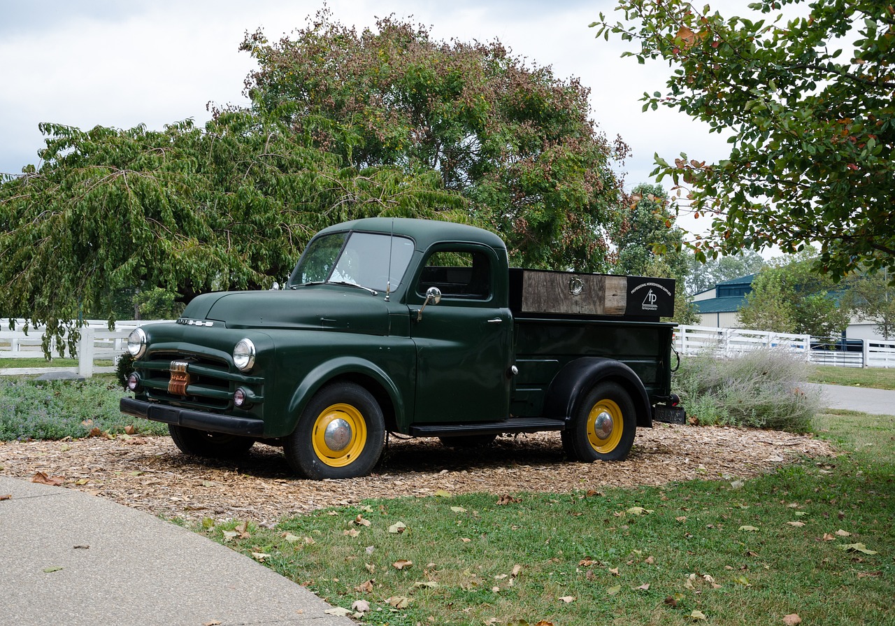 黑龍灘最新開發(fā)動(dòng)態(tài)，未來(lái)繁榮序幕正式拉開！