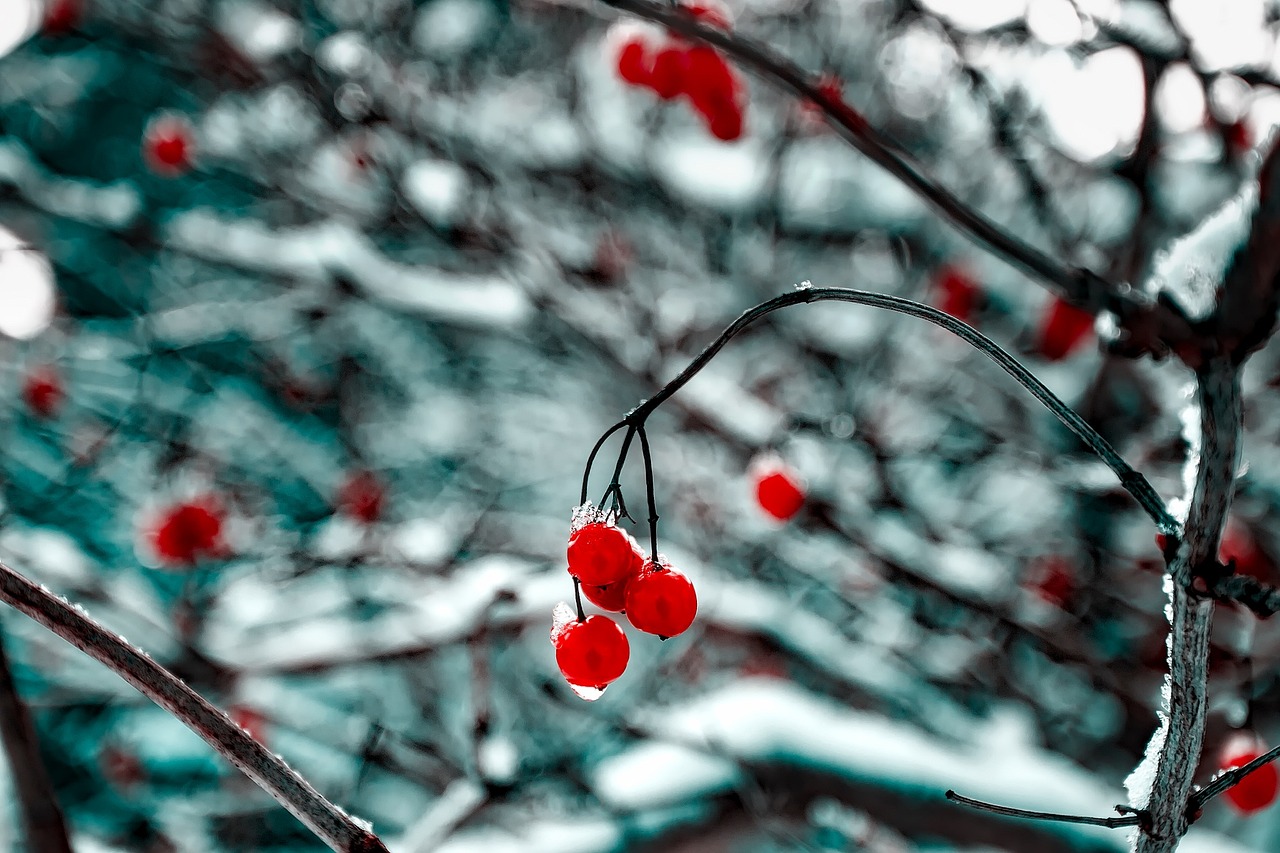 肖致遠續(xù)寫輝煌，一路青云最新進展報道