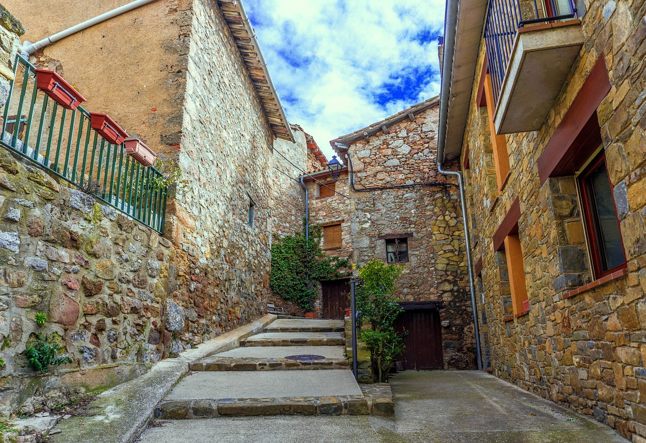 馮某針案最新進(jìn)展深度探究，最新動態(tài)與情況更新（1.21版）