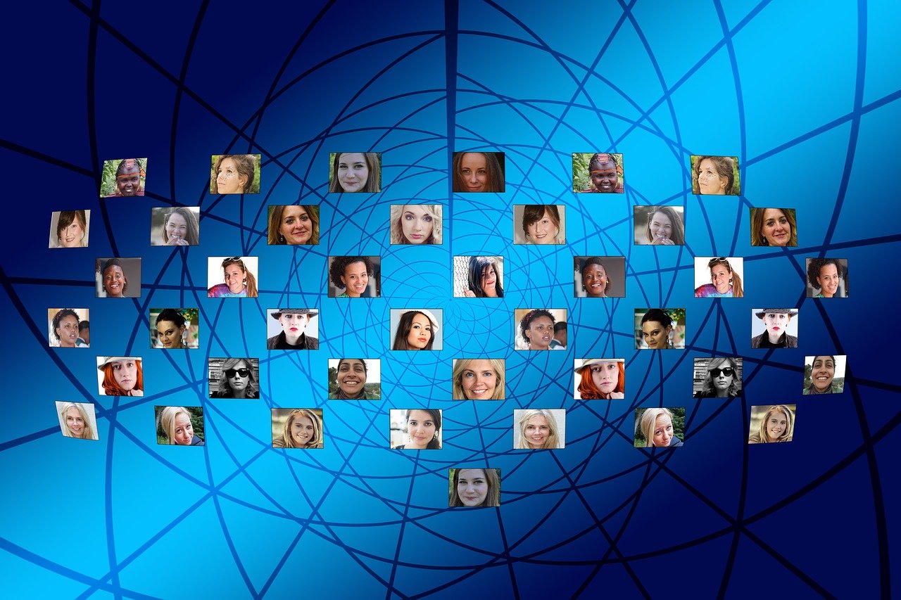 多寶魚市場(chǎng)最新動(dòng)態(tài)與行業(yè)深度解析，發(fā)展趨勢(shì)與市場(chǎng)新聞速遞