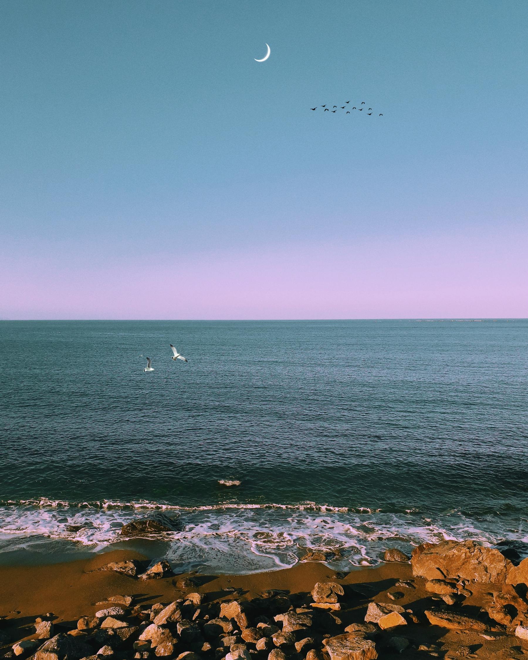 馬特波莫最新動態(tài)揭秘，引領(lǐng)前沿科技，開啟未來趨勢新篇章