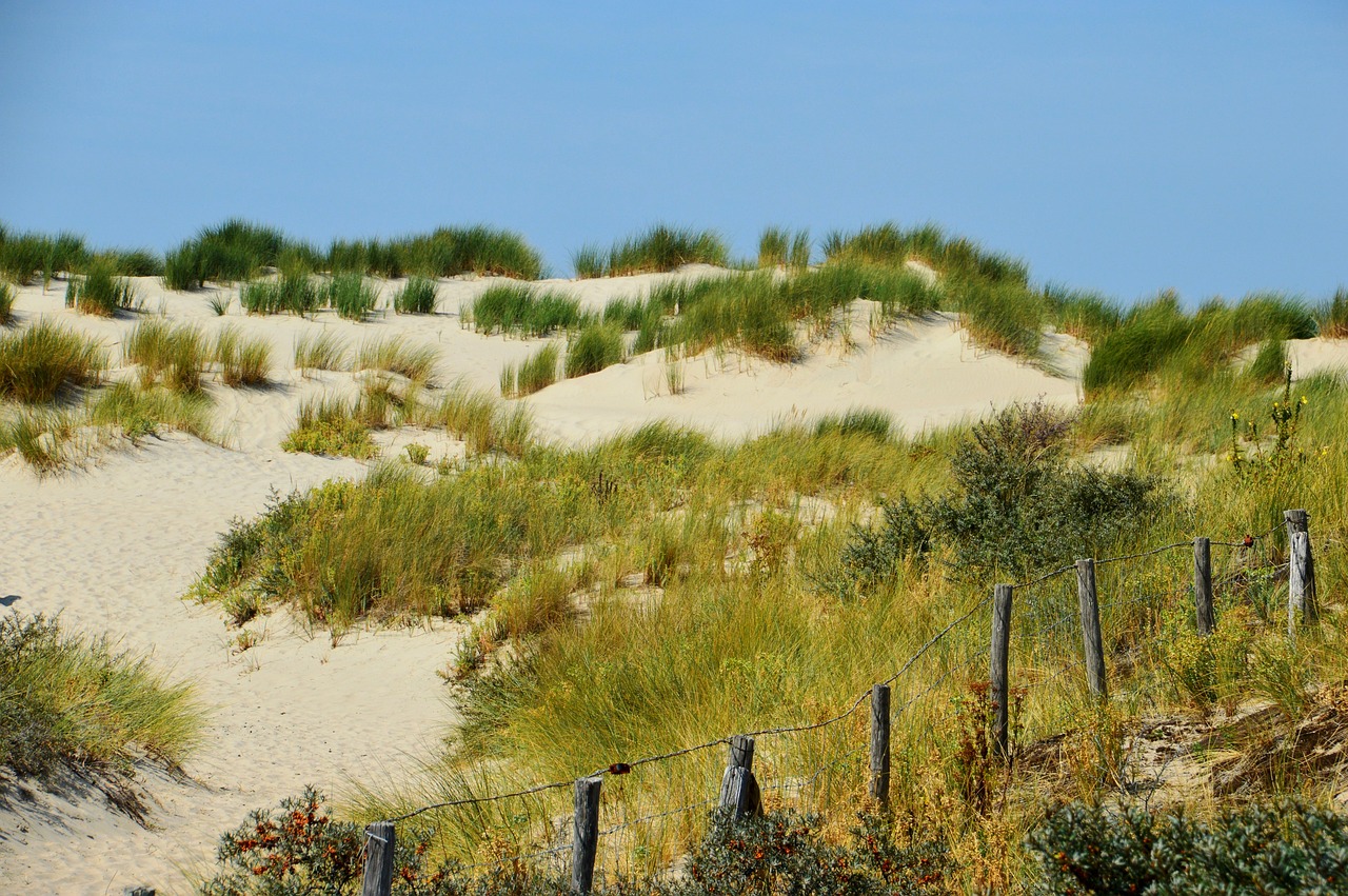 海啟高速如東最新消息概覽，最新動態(tài)與進(jìn)展報告