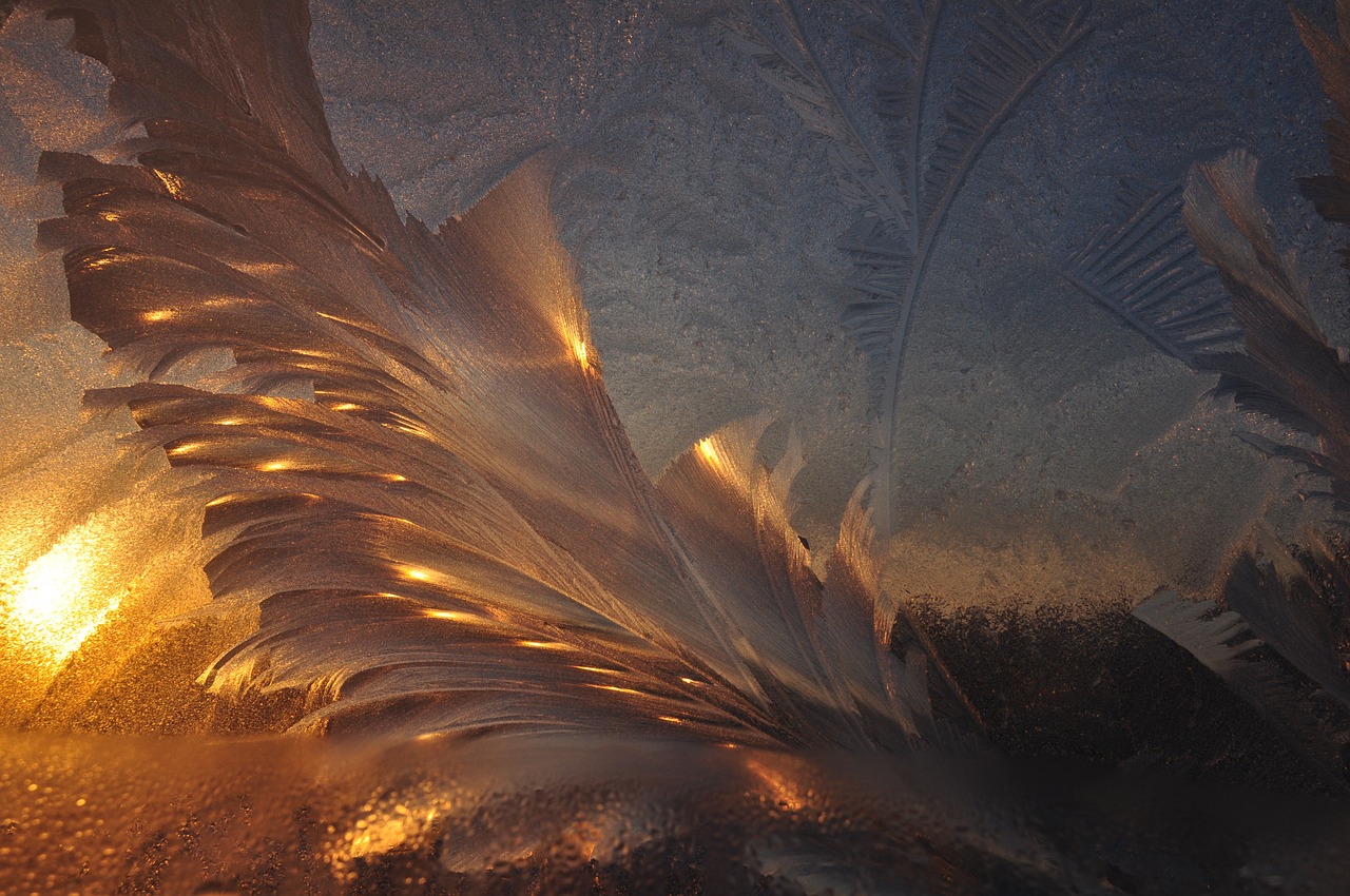 白夜寒與葉曉曉，命運(yùn)交織與情感升華的最新章節(jié)