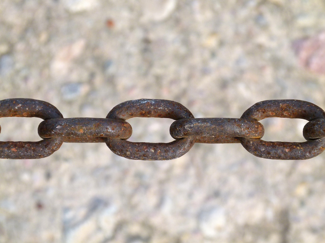 李仕軍在旺蒼的最新動態(tài)，推動地方發(fā)展，展現(xiàn)新面貌