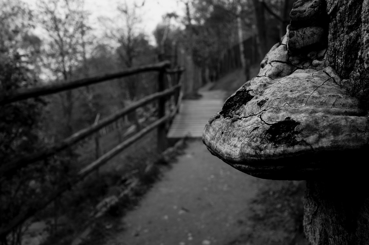 九江瞰江郡最新動態(tài)更新，九江瞰江郡最新狀況速遞