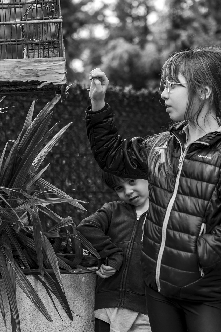 自然與科技融合的未來探索，自然界云棲最新動(dòng)態(tài)揭秘