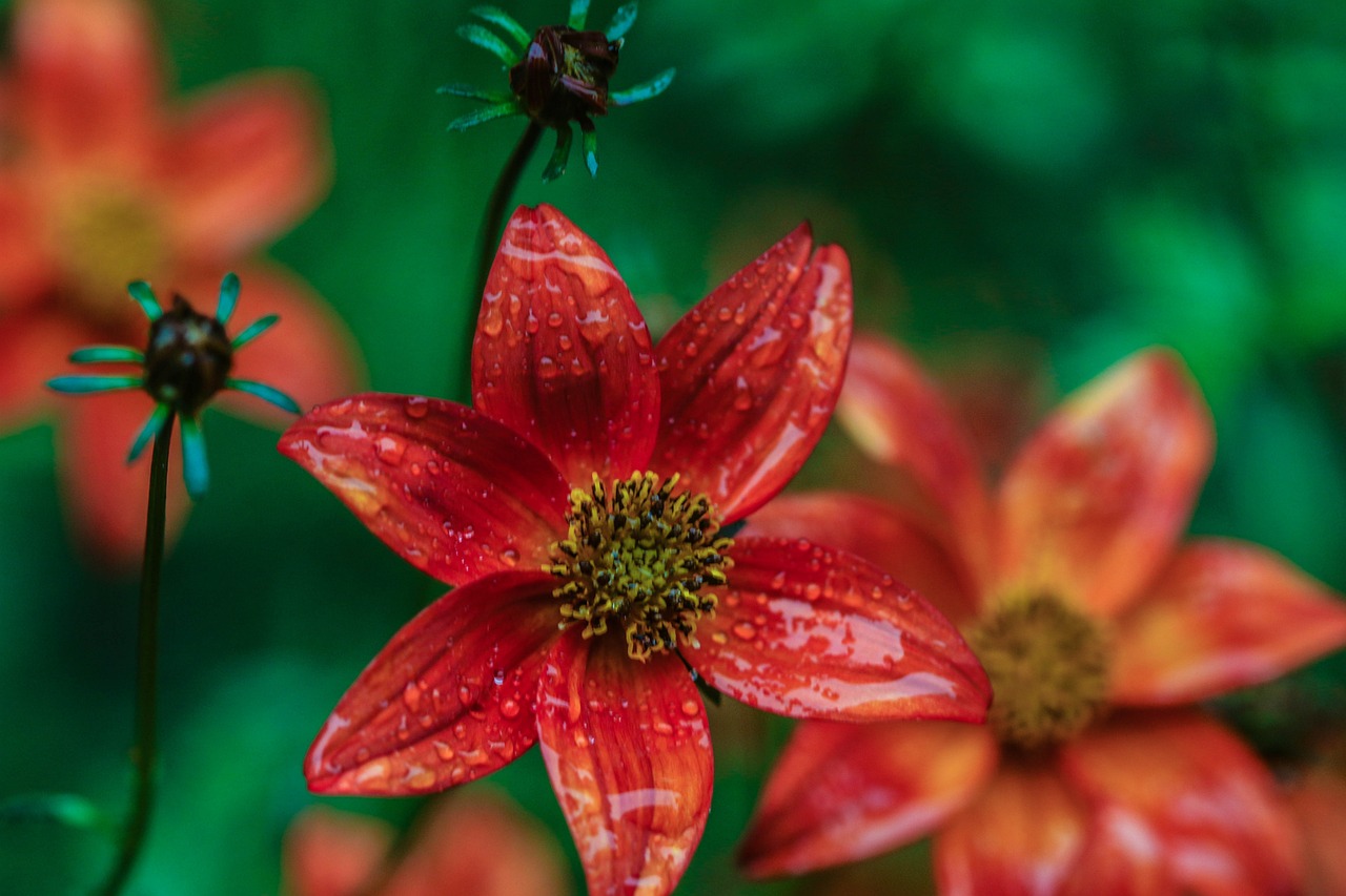 懷來萬悅廣場，城市新地標，引領未來生活風尚新動態(tài)