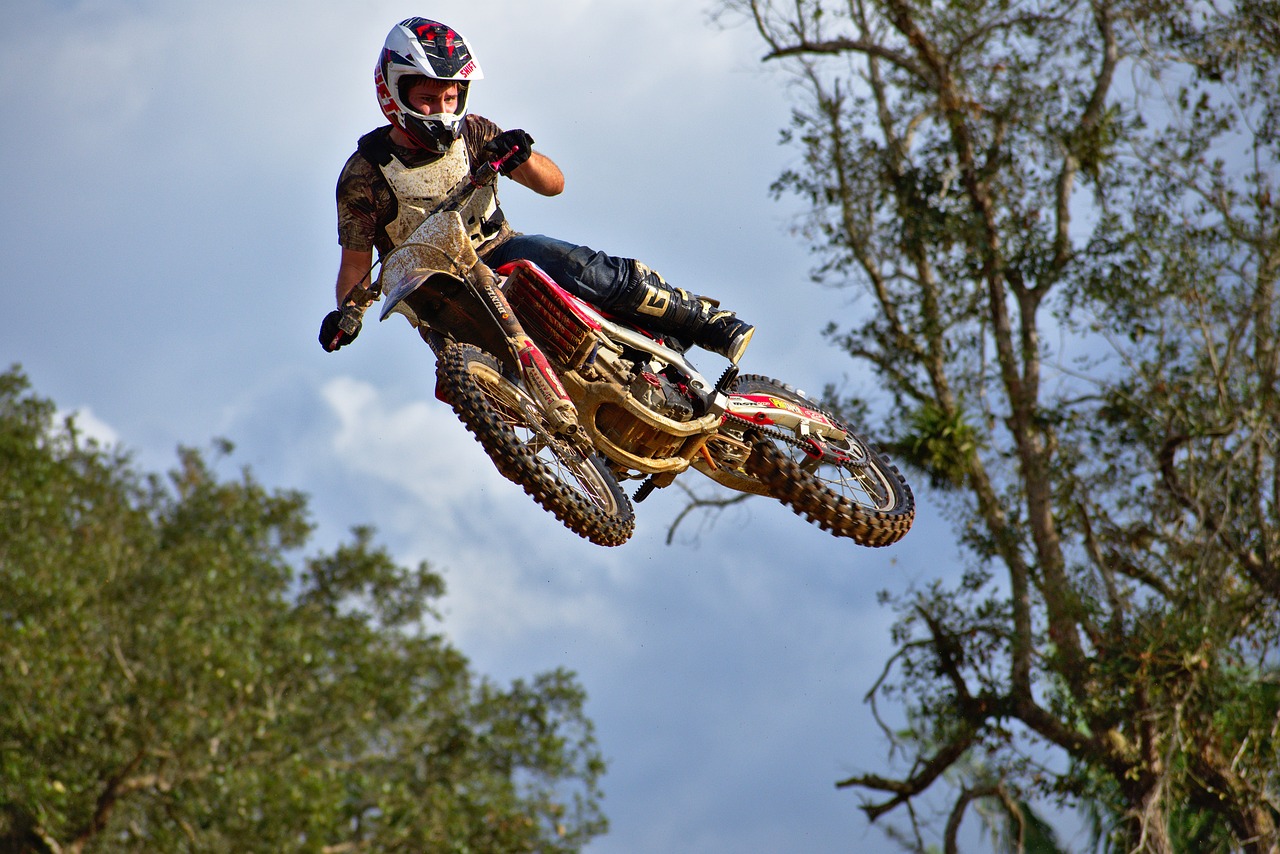 花開無(wú)言 第18頁(yè)