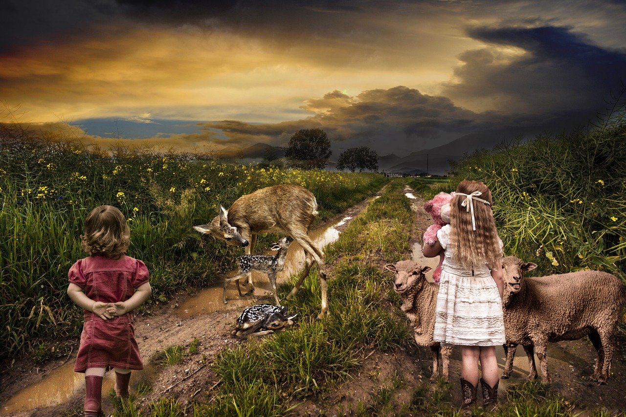 逍遙派最新章節(jié)，奇幻之旅探尋神秘世界