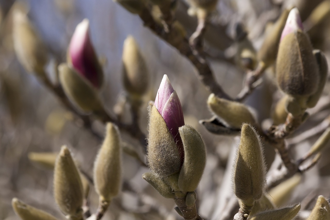 泗陽高鐵最新進(jìn)展報(bào)告更新，最新動(dòng)態(tài)揭秘！