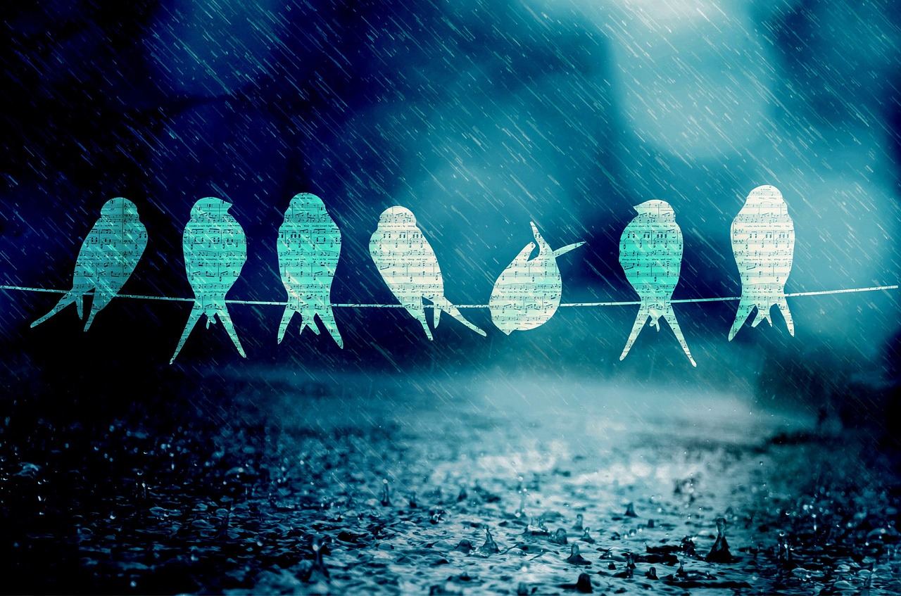 舟山自貿(mào)區(qū)蓬勃發(fā)展，海洋經(jīng)濟(jì)新引擎揭秘最新動(dòng)態(tài)