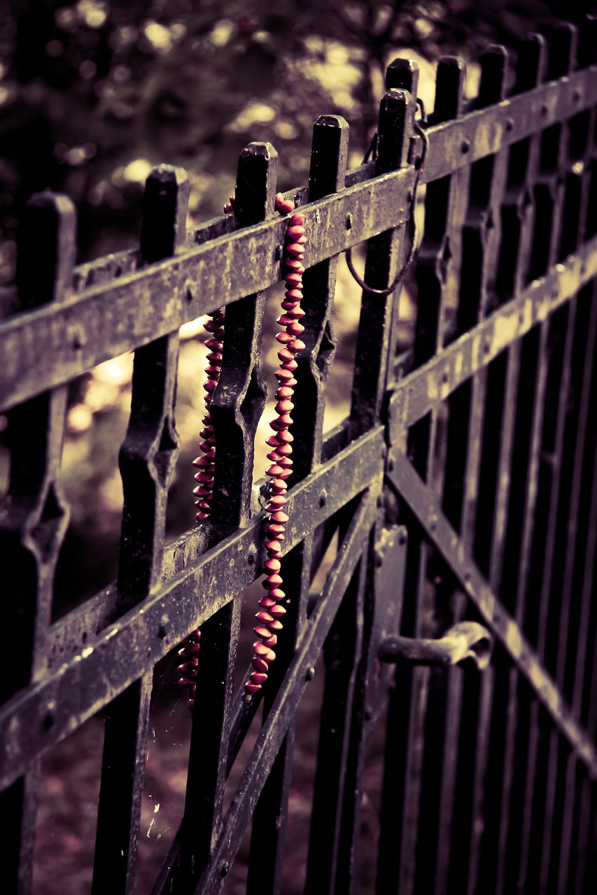 稀有金屬隕石最新探索，宇宙神秘禮物的最新消息