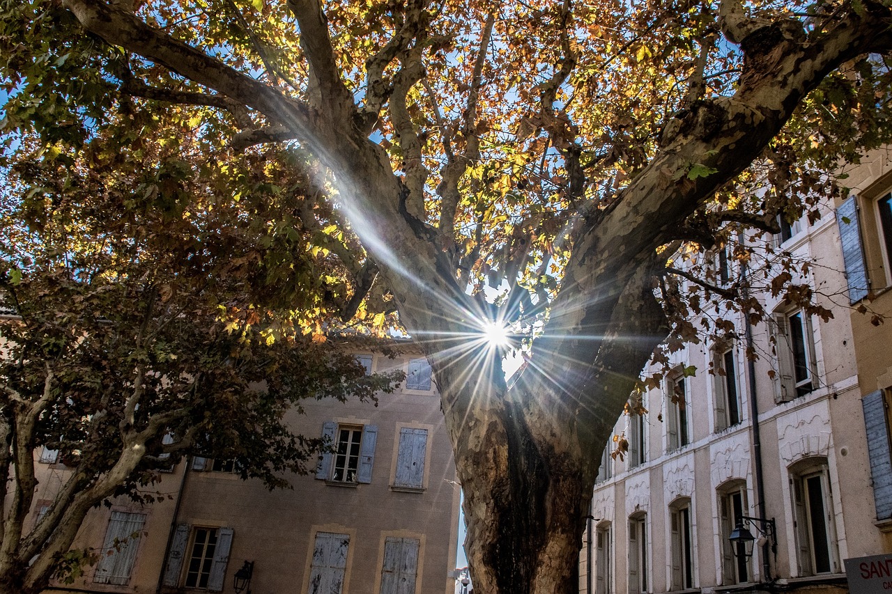 陽光大道點(diǎn)贊新時(shí)代，輝煌篇章的展現(xiàn)