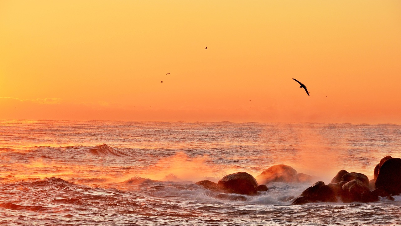 舟山出海捕魚最新招聘啟事，探索海洋的機(jī)遇與挑戰(zhàn)