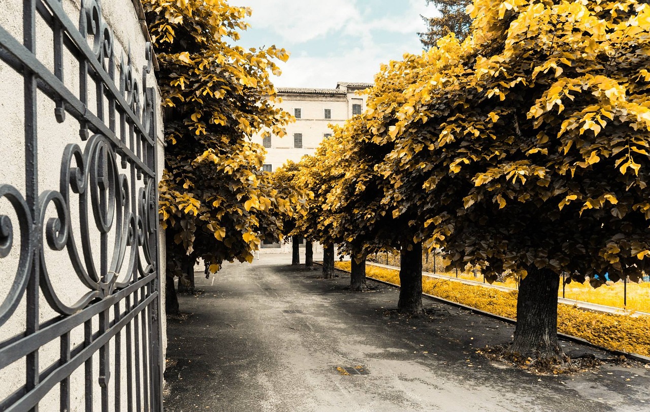 葉榭大型社區(qū)打造現(xiàn)代化新城，宜居宜業(yè)最新進(jìn)展消息