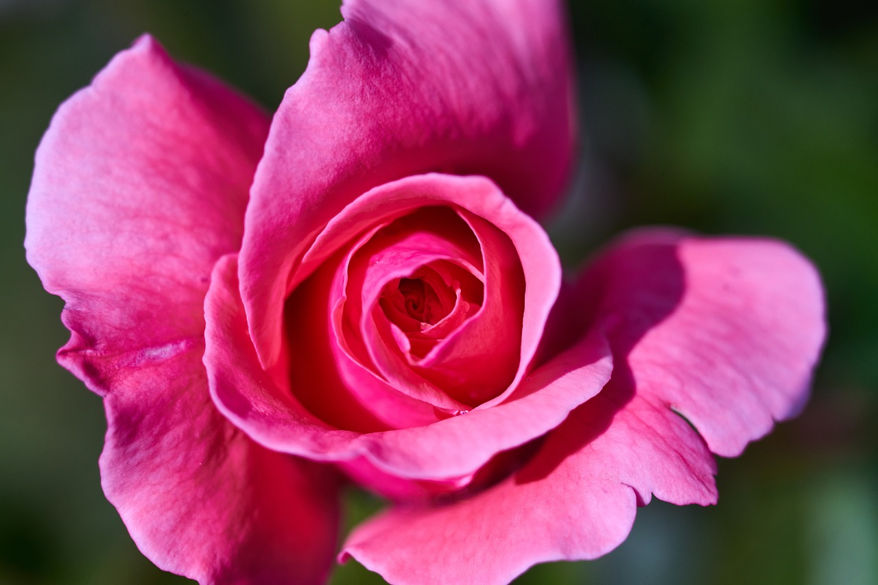 最新早上好圖片，開啟美好一天的溫馨問(wèn)候