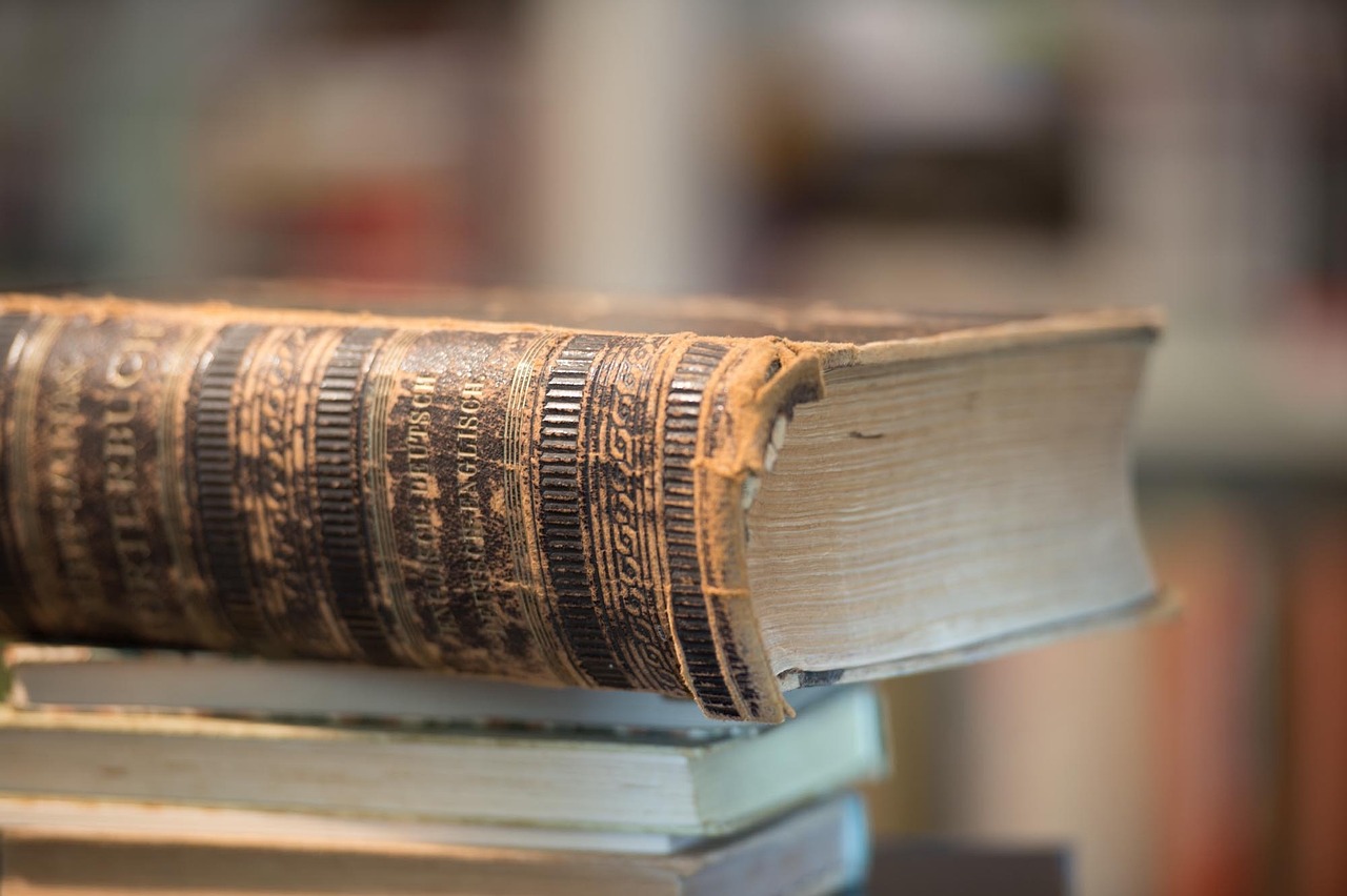 溫柔不夠 第16頁(yè)