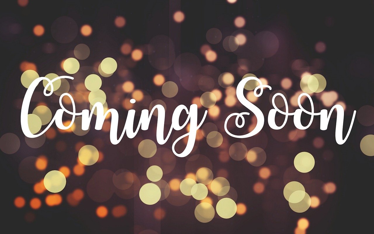 通州楊莊小學最新動態(tài)更新，最新消息匯總