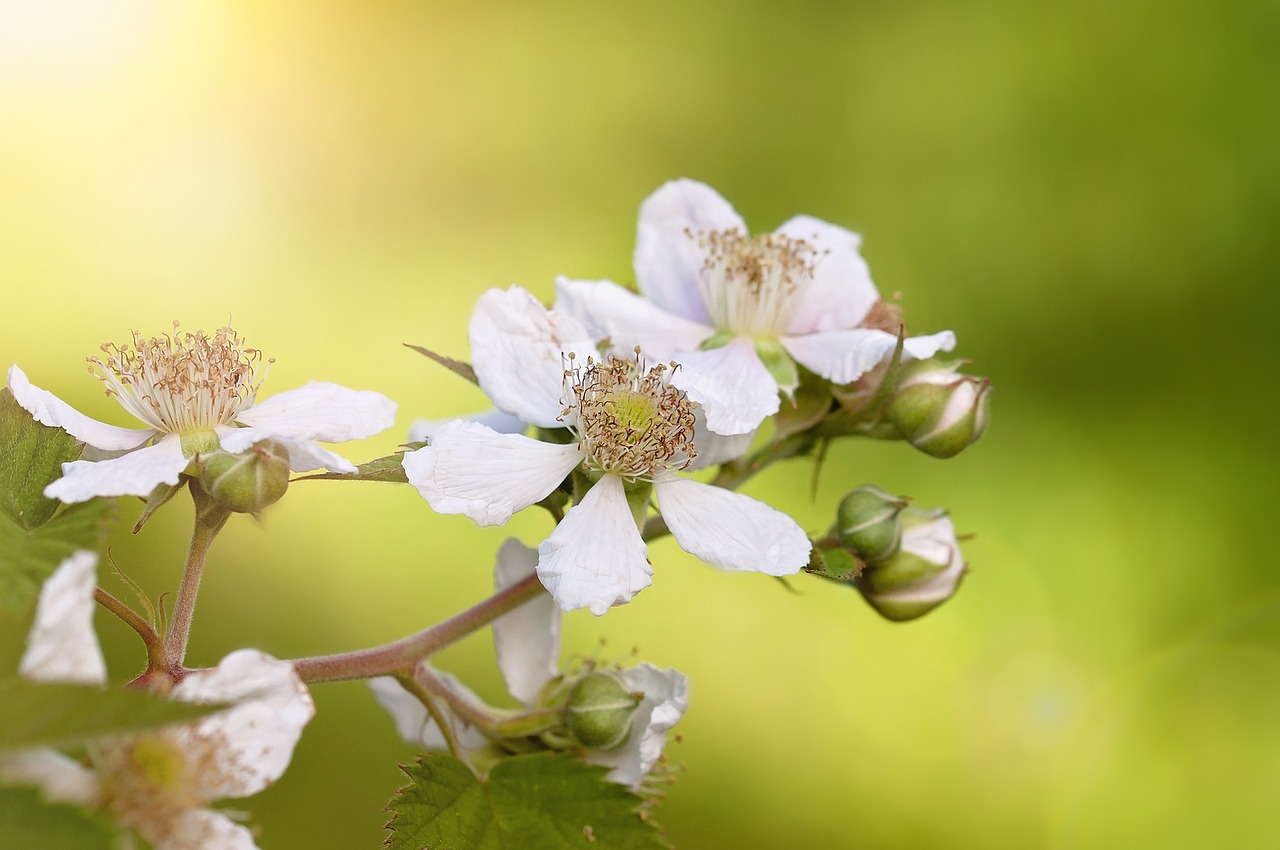 王寶強與馬蓉的最新動態(tài)，情感糾葛與人生的新篇章