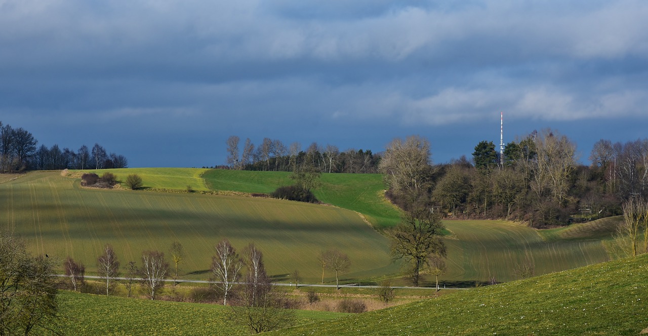 漳州陽光美地最新動態(tài)更新，最新消息匯總