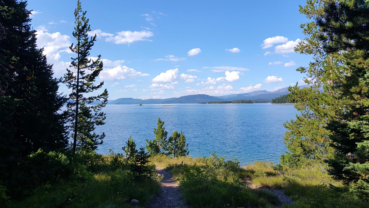 青娛樂最新地址探尋之旅，探索最新動(dòng)態(tài)與娛樂盛宴的門戶