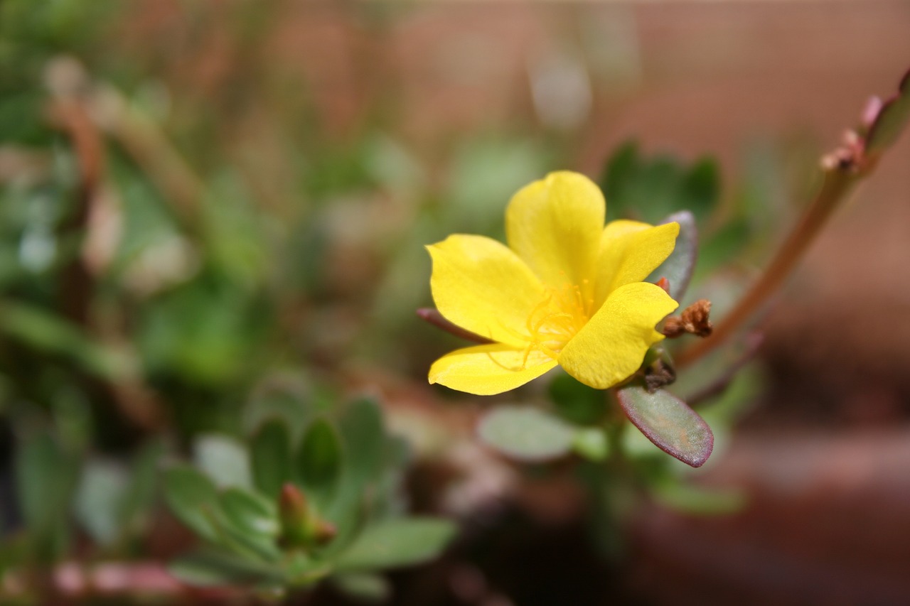 威海泊于水庫最新動態(tài)，進展、影響與展望