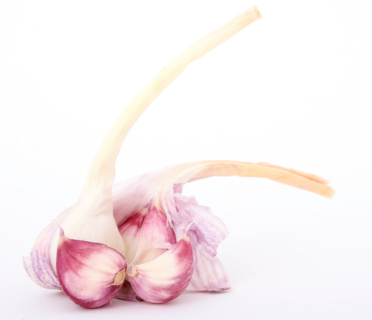 香兒最新廣場舞雙人舞，舞動生活的優(yōu)美旋律